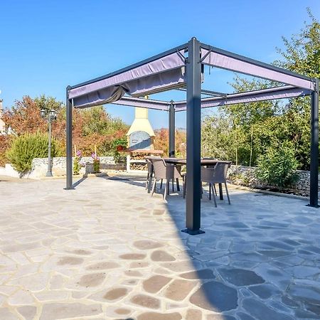 Apartments Visnja 罗戈兹尼察 外观 照片